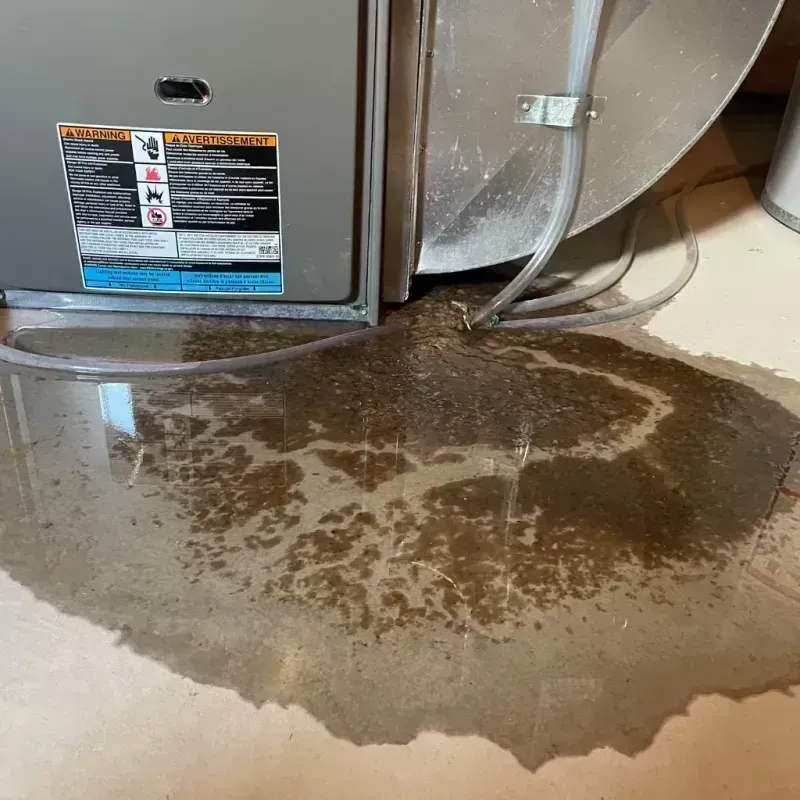 Appliance Leak Cleanup in Linn County, MO